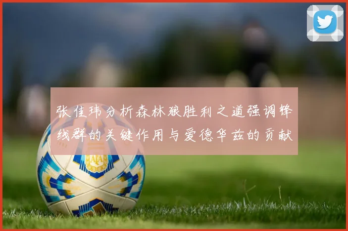 张佳玮分析森林狼胜利之道强调锋线群的关键作用与爱德华兹的贡献