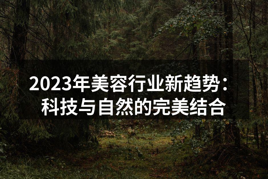智能护肤设备示例